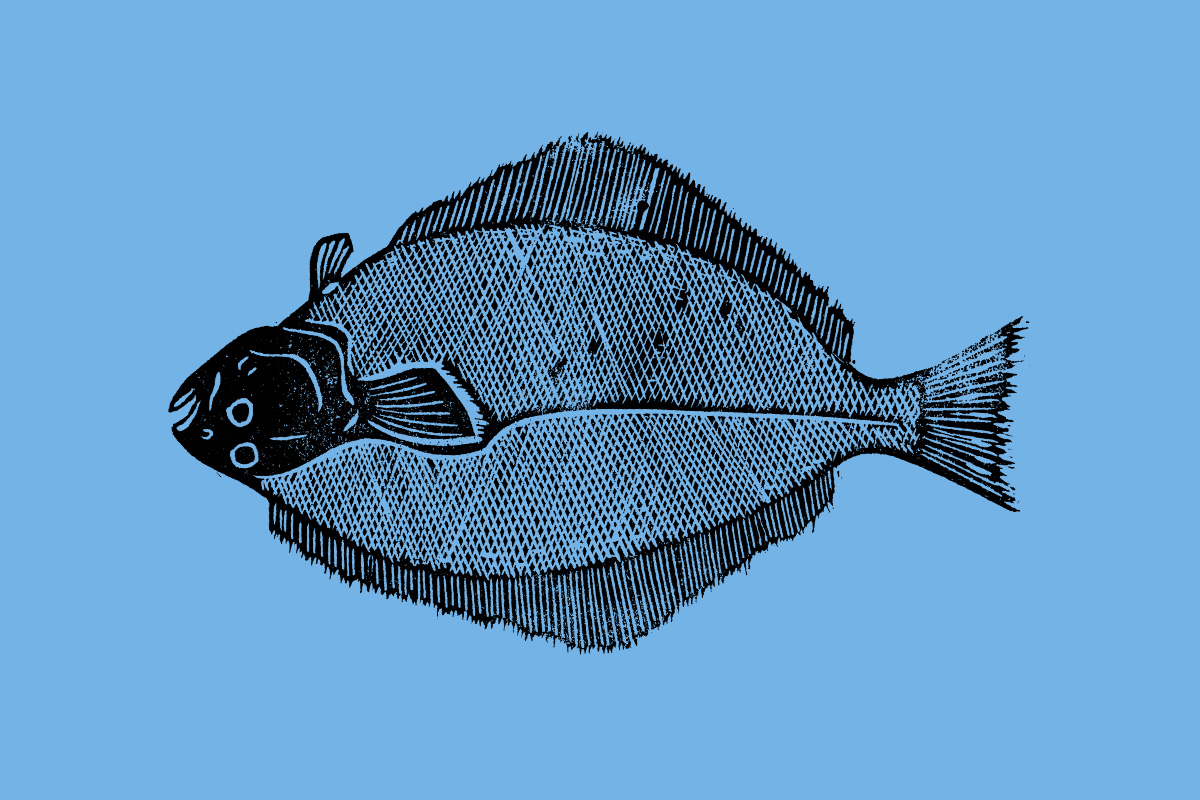 Woordvis - buro van Ons.