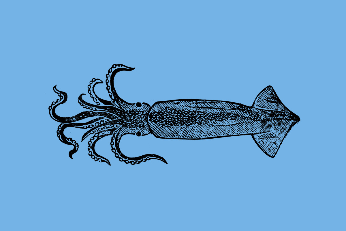 Woordvis - buro van Ons.