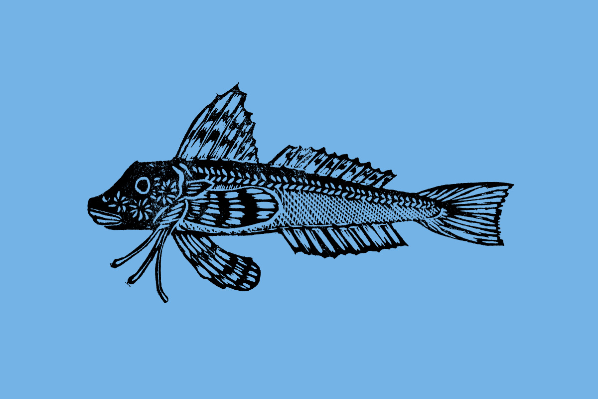 Woordvis - buro van Ons.